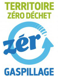 logo-zdzg